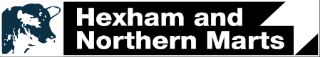 https://hexhammart.co.uk/